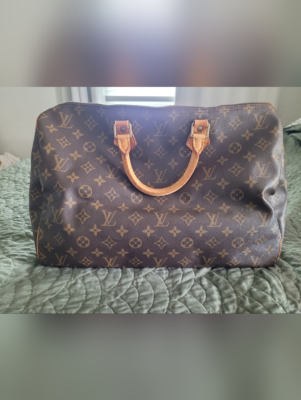 Louis Vuitton Monogram Speedy 40 Handbag in Brown and Tan